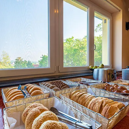 Otel Fried Kastely 3*