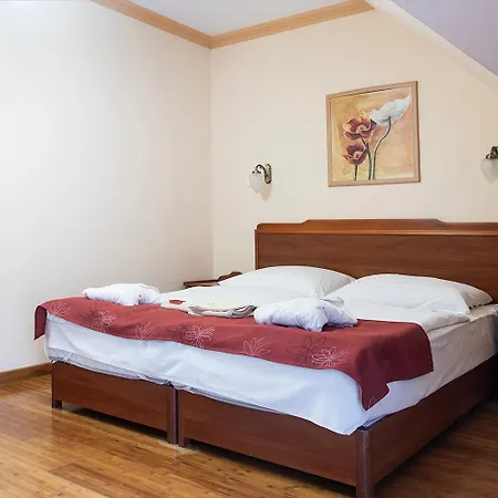 Fried Kastely Hotel Simontornya