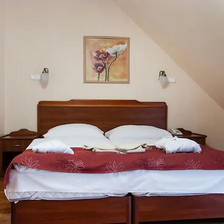 Hotel Fried Kastely Simontornya