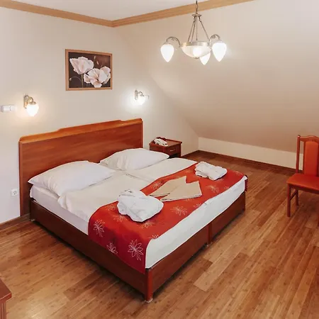 Fried Kastely Hotel 3*