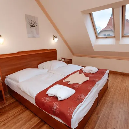 Hotel Fried Kastely Simontornya