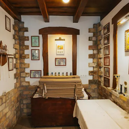 Hotel Fried Kastely