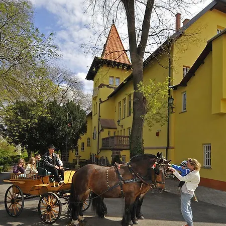 Otel Fried Kastely 3*