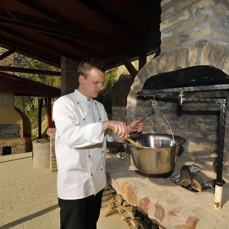 Fried Kastely Otel 3*