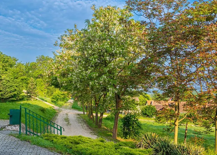 Hotel Fried Kastely Simontornya