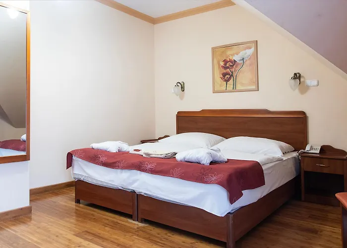 Fried Kastely Hotel Simontornya