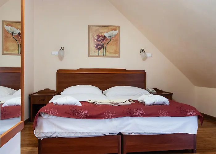 Hotel Fried Kastely Simontornya