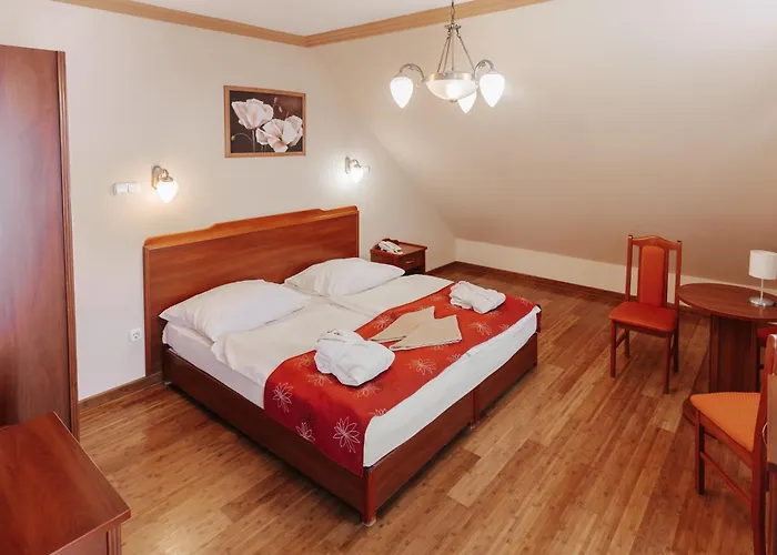 Fried Kastely Hotel 3*